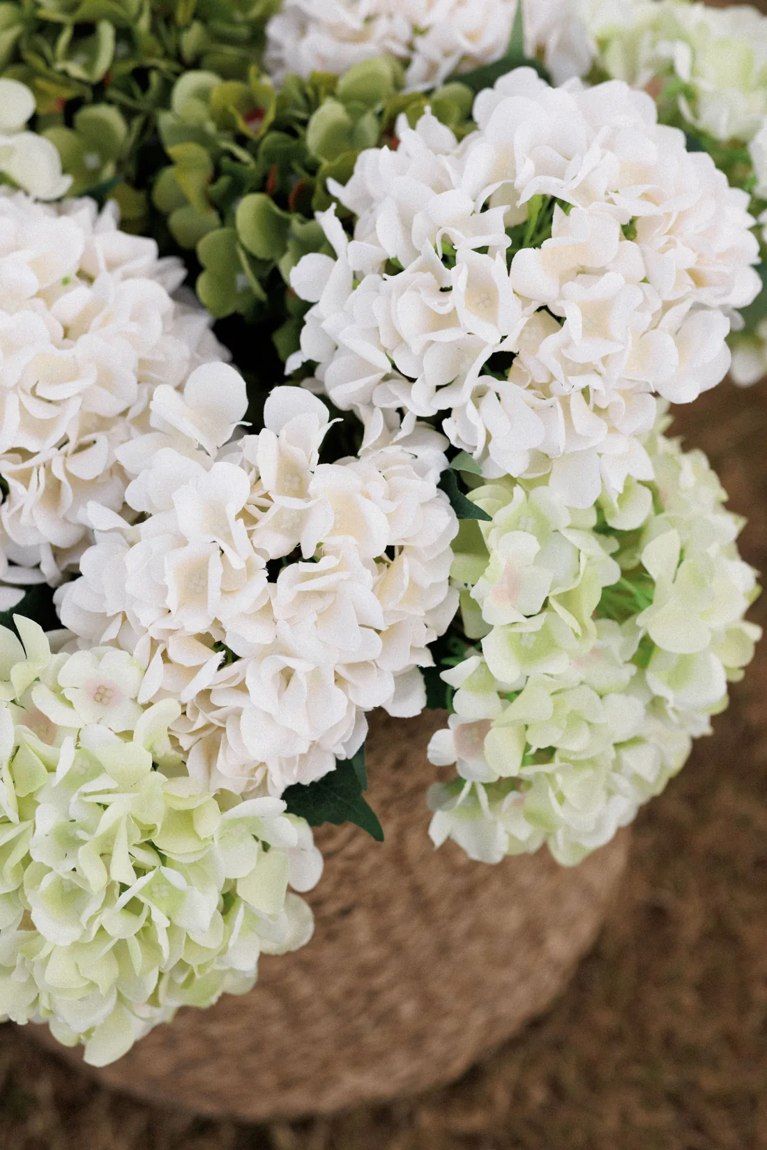 Close-up of white and green hydrangea ceremony florals